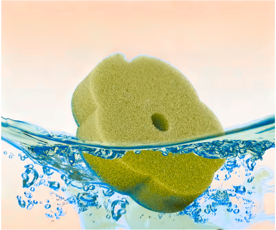 Brush Refills Sensori™